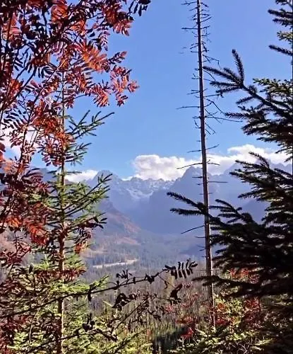 بيت ضيافة Pensjon Orzel